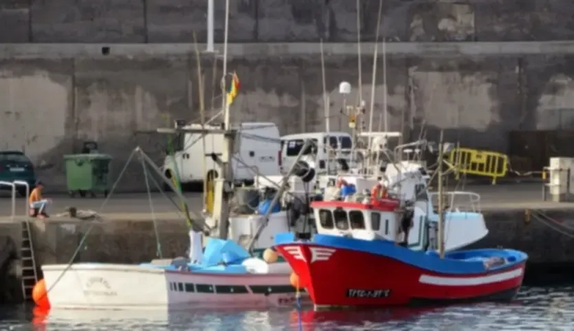 Barcos de pesca tradicionales y coloridos amarrados en el puerto de Arguineguín