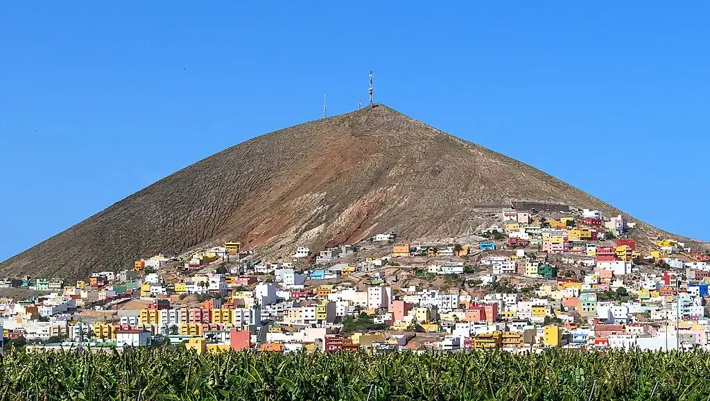 Sendero atravesando los frondosos Pinos de Gáldar en un día soleado