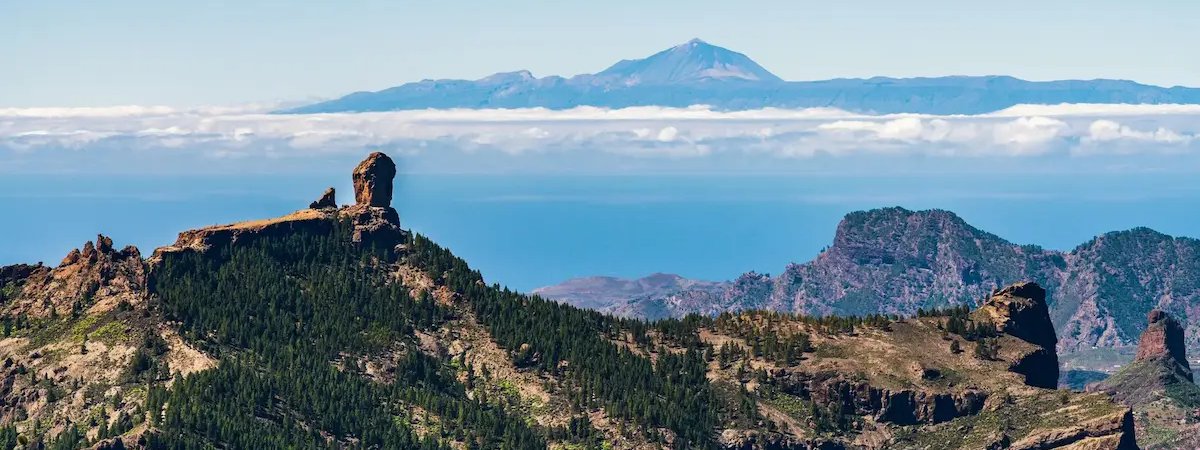 Categoría: Gran Canaria