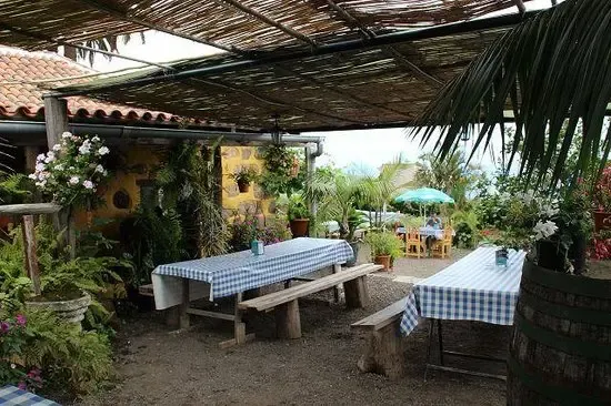 Mesa con platos típicos canarios como papas arrugadas, carne fiesta y vino local en un guachinche.