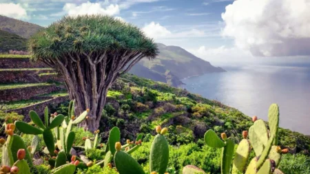 Imagen destacada para el artículo: La Palma: Guía Completa para Descubrir la Isla Bonita