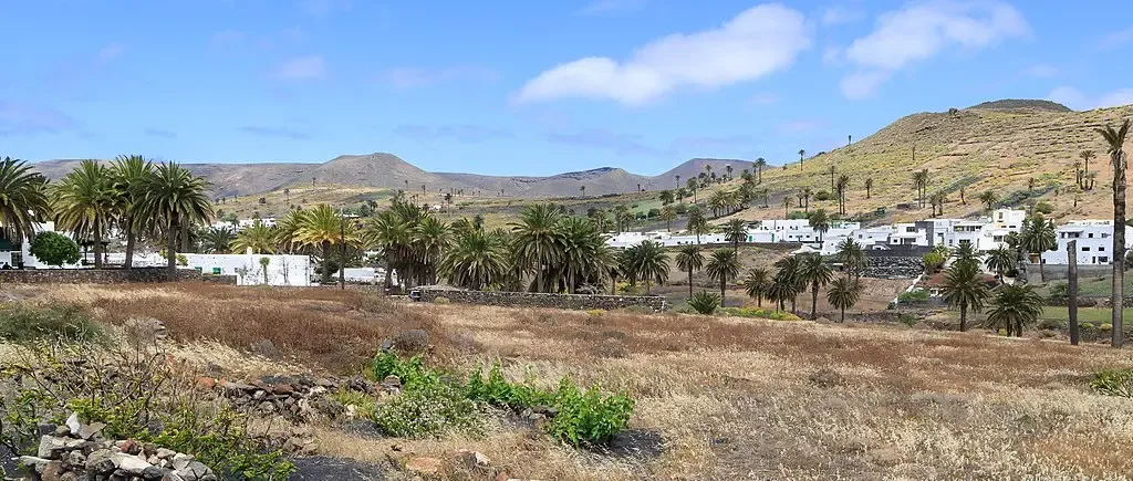 Vista panorámica del Valle de las Mil Palmeras en Haría, Lanzarote, mostrando el pueblo blanco rodeado de numerosas palmeras canarias.