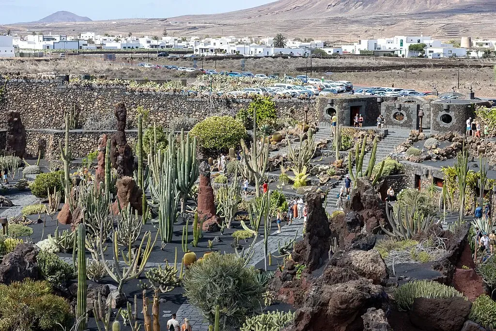 Vista general del Jardín de Cactus de Lanzarote en Guatiza, mostrando la disposición en anfiteatro, miles de cactus y el molino restaurado en el borde superior.