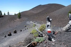 Imagen de Vista panorámica desde la Ruta de los Volcanes, La Palma