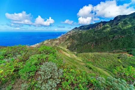 Imagen destacada para el artículo: Rutas y Senderos de La Palma: Huellas que Revelan la Esencia de la Isla Bonita