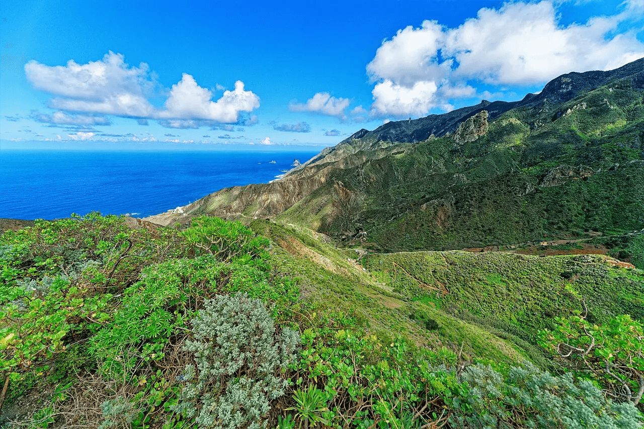 Imagen destacada del artículo: Rutas y Senderos de La Palma: Huellas que Revelan la Esencia de la Isla Bonita