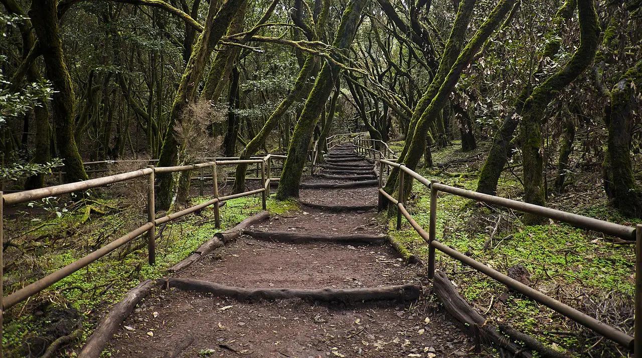 Imagen destacada del artículo: La Gomera a Pie: Descubriendo la Isla Mágica Paso a Paso
