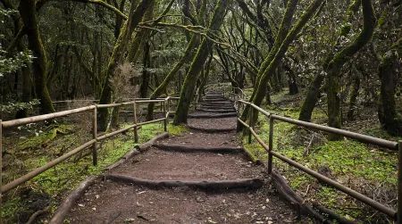 Imagen destacada para el artículo: La Gomera a Pie: Descubriendo la Isla Mágica Paso a Paso